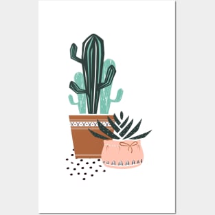 Cactuses and zebra plant Posters and Art